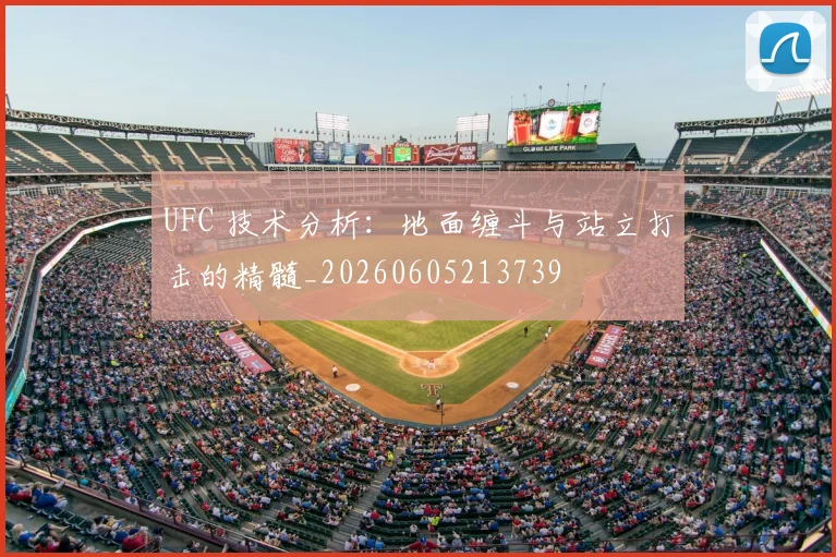 UFC 技术分析：地面缠斗与站立打击的精髓_20260605213739