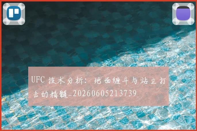 UFC 技术分析：地面缠斗与站立打击的精髓_20260605213739